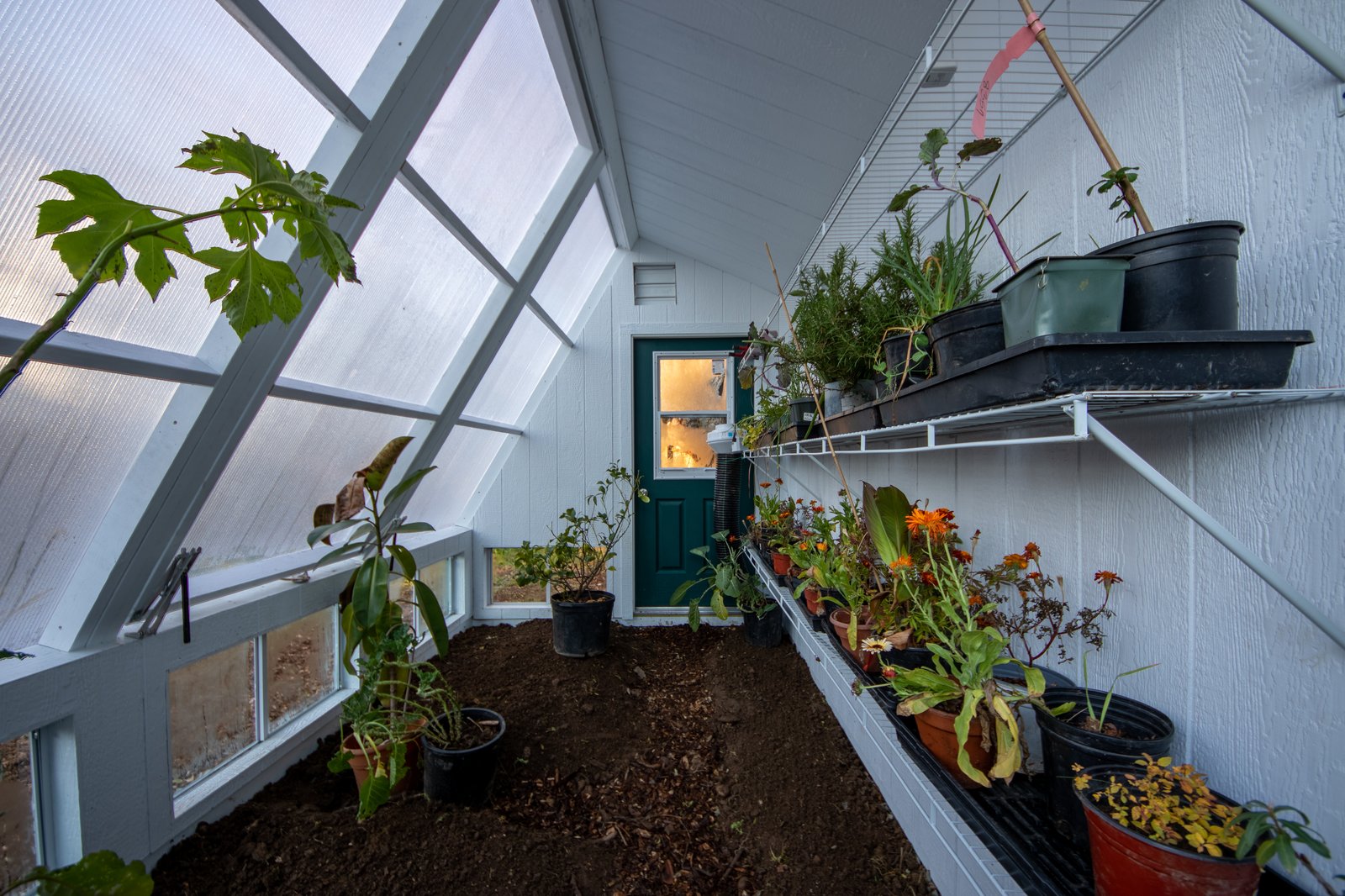 Solar greenhouse top photo